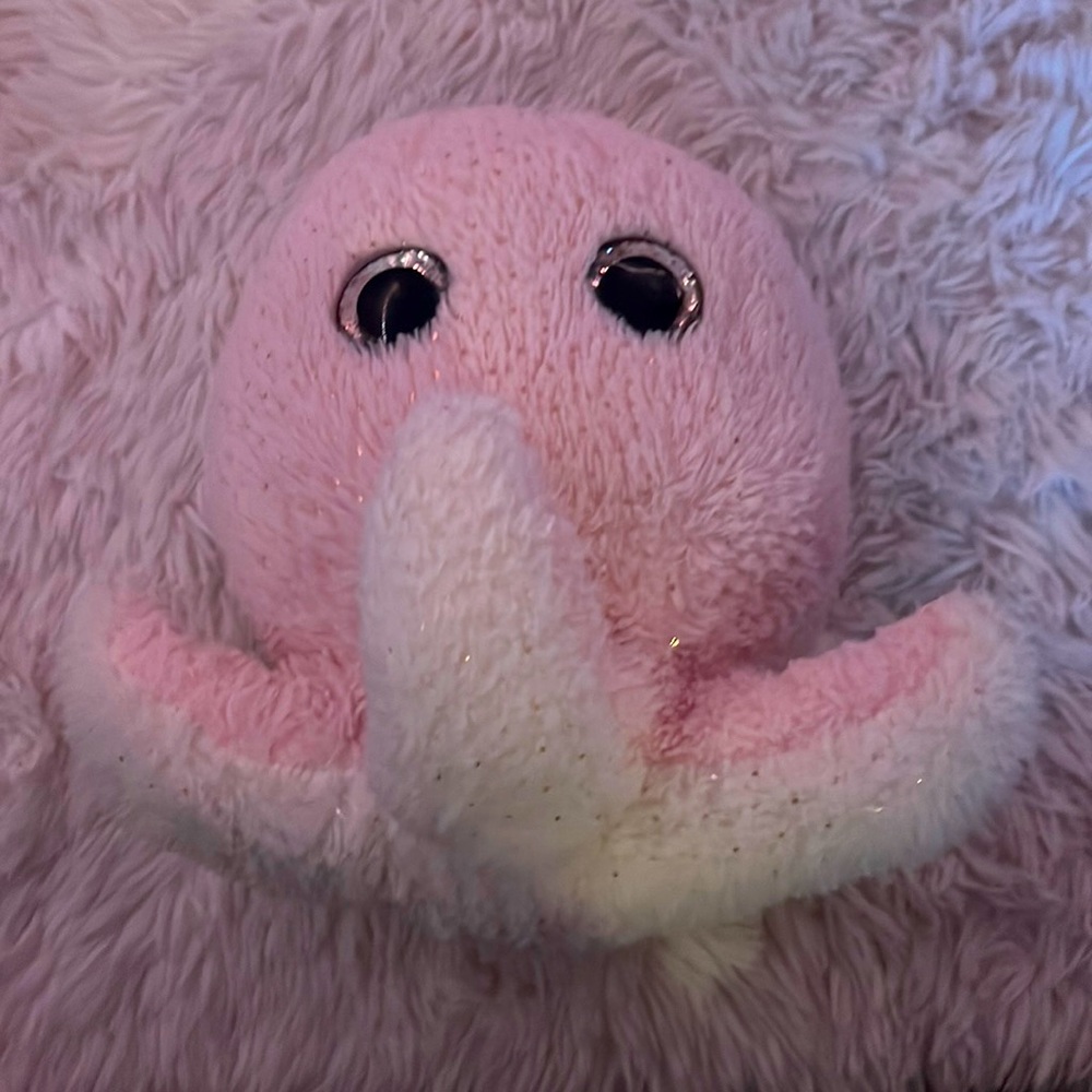 Cute stuffed animal💗💗